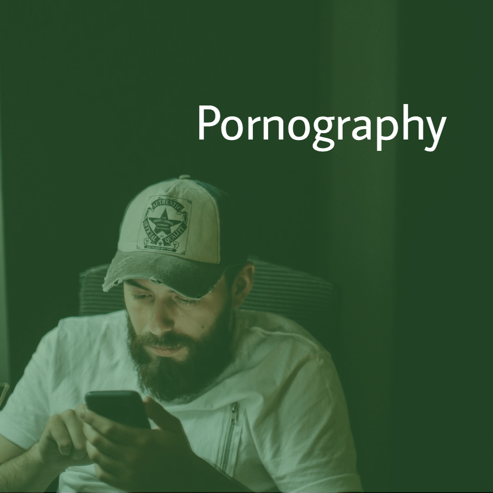 Pornography Recovery Article